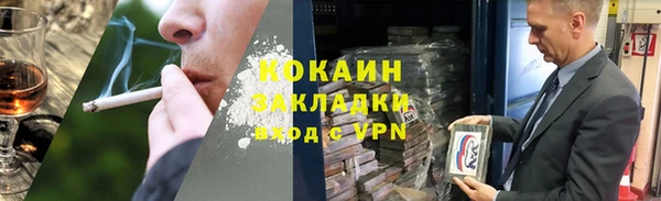 шишки Богданович