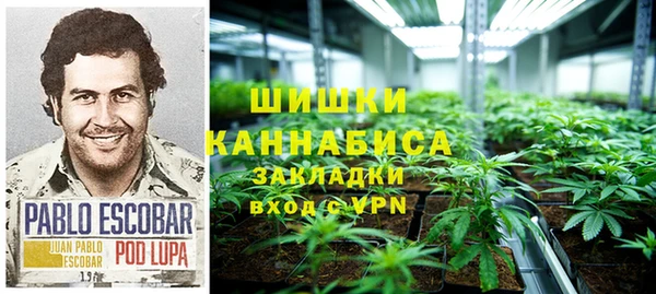 МДПВ Богородицк