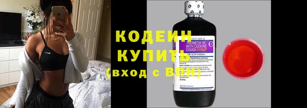 шишки Богданович