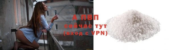 шишки Богданович