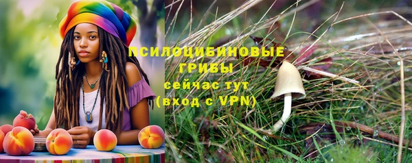 спайс Переславль-Залесский